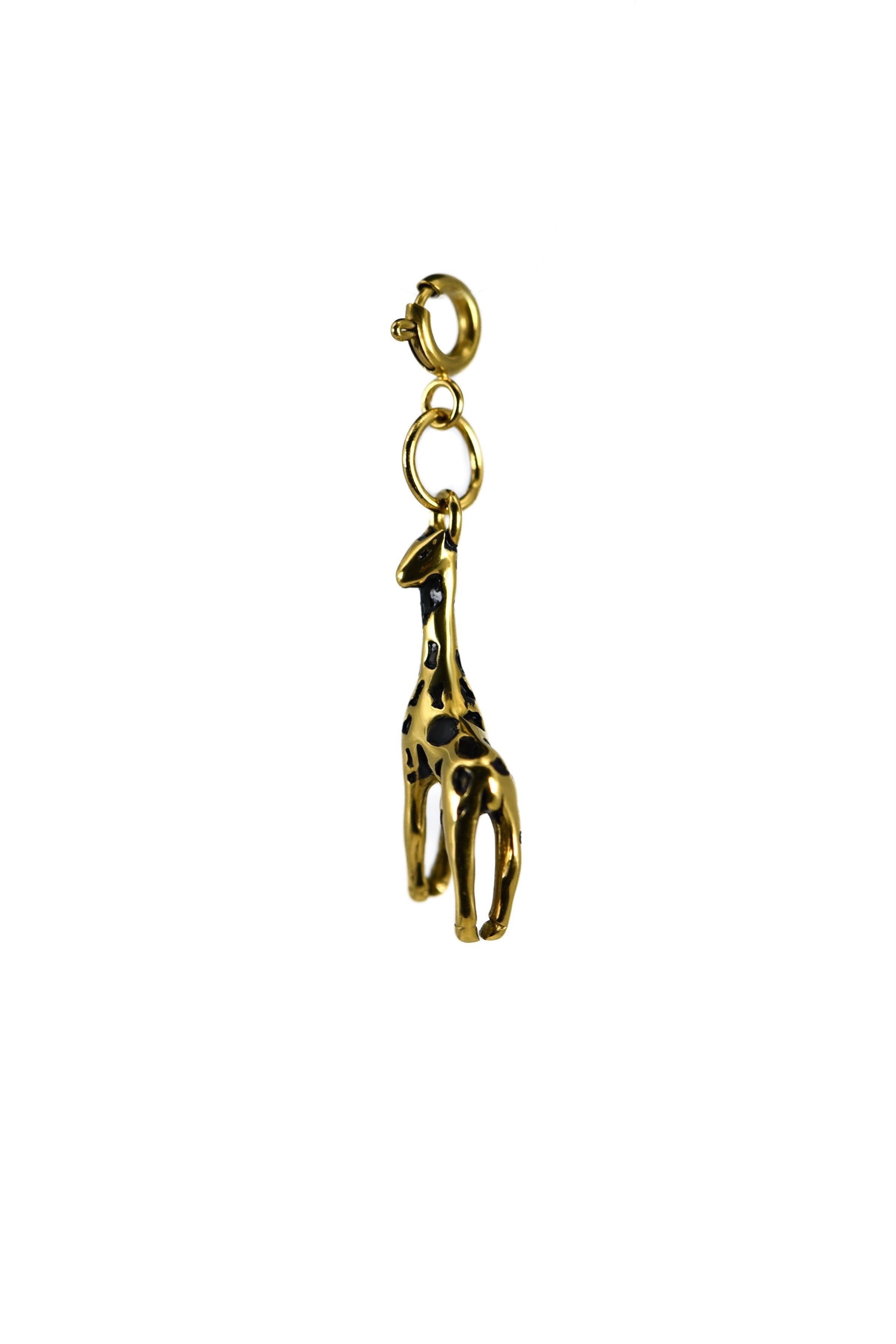 CHARM SAVANA