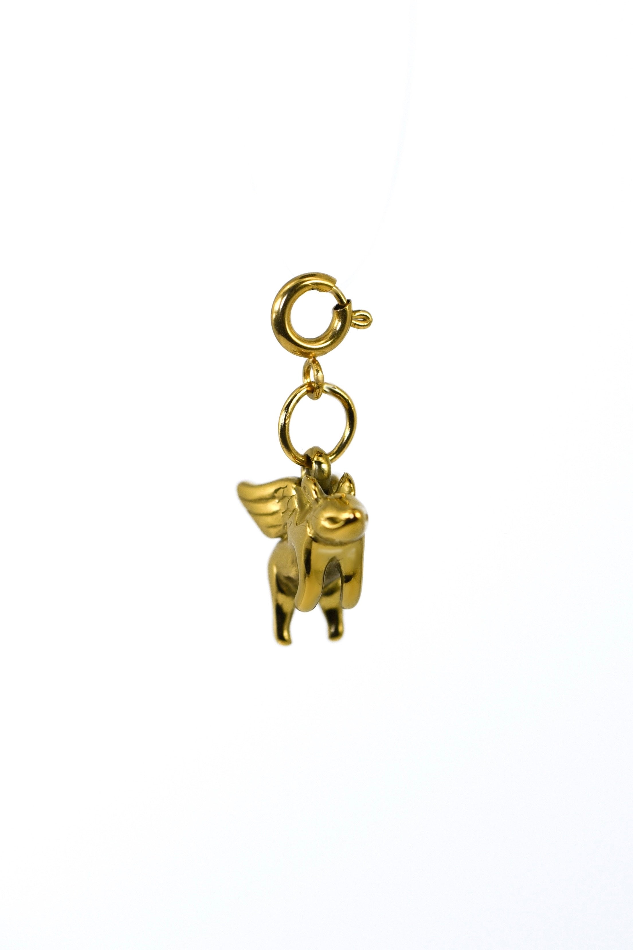 CHARM WHEN PIGS FLY