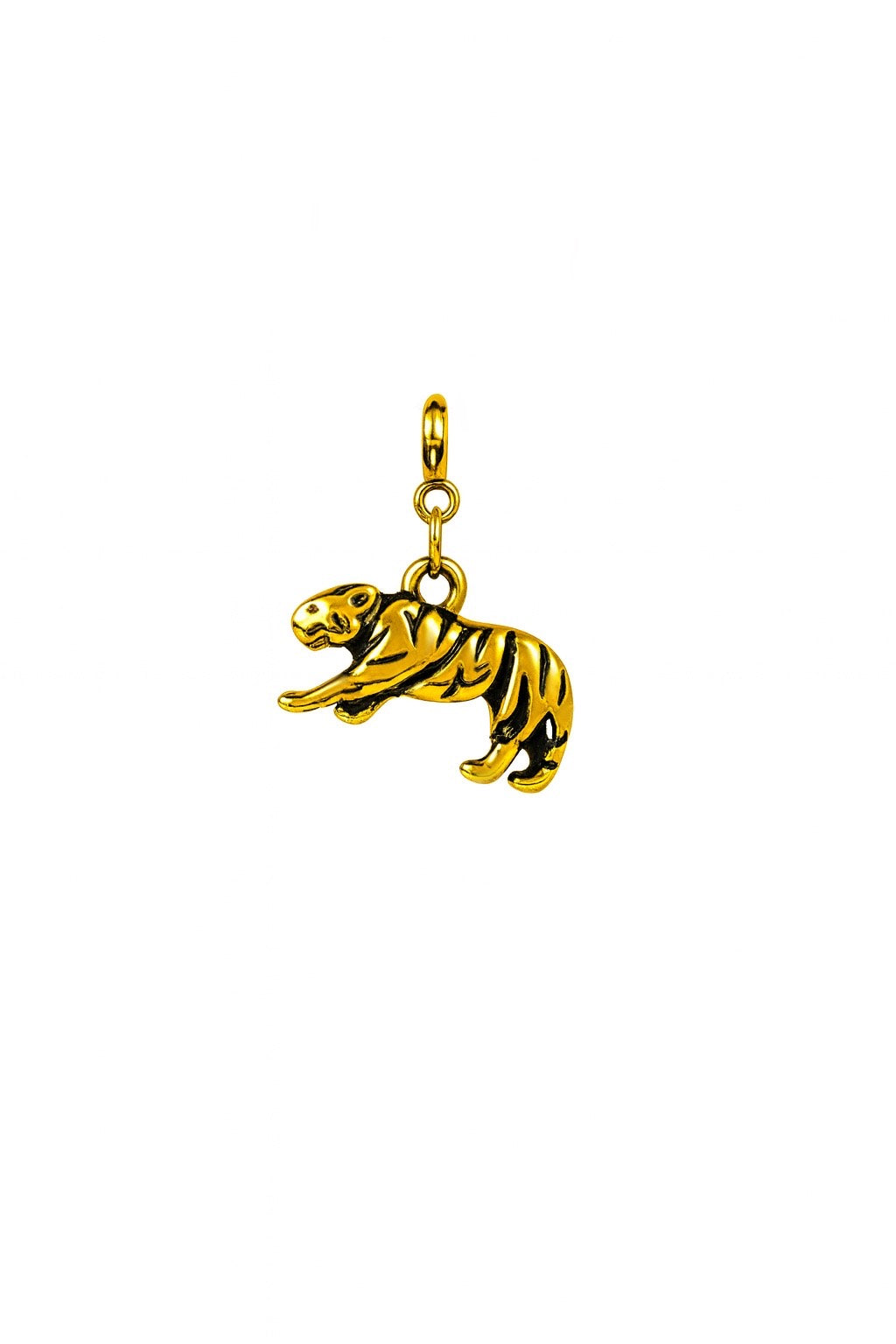 CHARM WILD SPIRIT